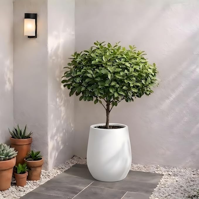 KUTE NEST 12.5" H x 11.4" D Premium Corso Fiberstone Round Tapered Planter with Drainage Hole, Weather Resistant for Indoor and Outdoor Use, Included 2 Extra Coco Mats (White, 9" Pot Opening)