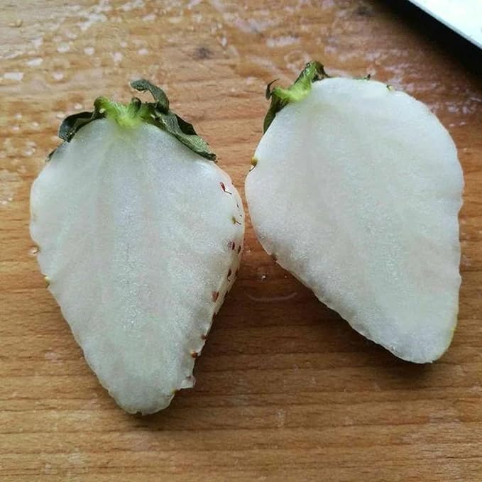 ZEshops 200pcs Rare Milk Strawberry Seeds - Non-GMO, Perennial Herb, Ideal for Cool to Warm Climates (White Strawberry)