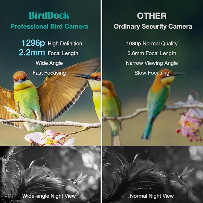 Birdock 1296P HD AI Identify Smart Bird Feeder with Camera,1296P HD AI Identify Wild Watching Camera, Auto Capture Videos & Motion Detection,Gift for Bird Lover (2.4G HZ WiFi)(Blue)