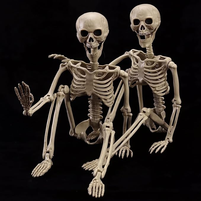 2-Pack 40" Pose-N-Stay Halloween Skeletons, Life-Size Full Body Realistic Posable Skeleton with Movable Joints, Spooky Haunted House Decor for Outdoor Yard, Patio & Front Porch