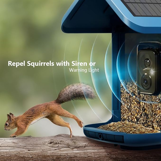 Bird Feeder with Camera Solar Powered : Smart Camera Bird Feeder 2K Live Feed Cam for Outdoor Backyard - Ai Identify Auto Capture Videos Pictures, Gifts for Birdlover Mom Dad, 2.4GHz WiFi