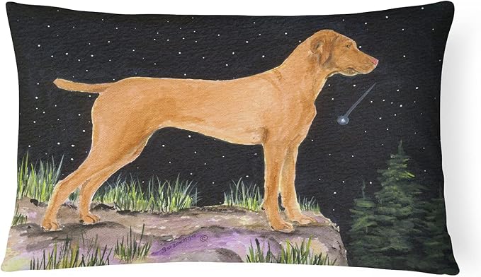 Caroline's Treasures SS8478PW1216 Starry Night Vizsla Canvas Fabric Decorative Pillow Machine Washable, Indoor Outdoor Decorative Pillow for Couch, Bed or Patio, 12HX16W