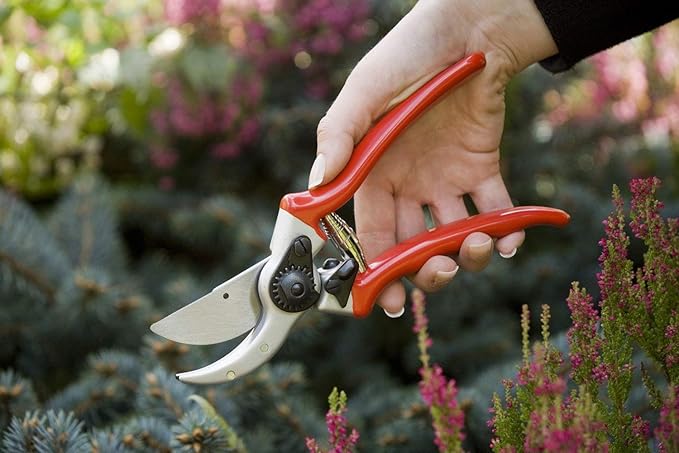 Spear & Jackson 6657BS Razorsharp Professional Short Blade Bypass Pruner