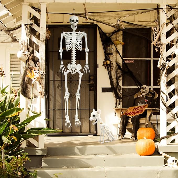 5.9Ft Halloween Life Size Skeleton with Cat for Halloween Party Decor | Plastic Skeletons with Movable Joints