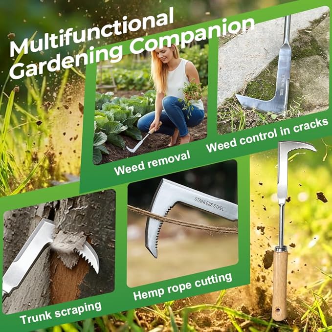 Crack Weeder, 12" Stainless Steel L-Shaped Crevice Weeder Tool with Wood Handle, Heavy Duty Sidewalk Weed Puller Spatula for Garden Patio Lawn, Gardening Hand Tool (B)