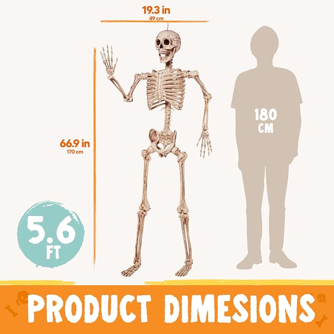 JOYIN 5.6 FT Halloween Posable Life Size Skeleton, Full Body Realistic Bones with Movable Joints, Giant Skeletons Halloween Decorations for Indoor Outdoor Haunted House Props, Spooky Scene Party Decor