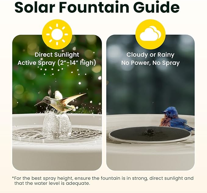 Birdfy Smart Bird Bath with Camera Solar Powered & Solar Fountain & Stand, Dual-Lens Camera for Bird Watching in Phone, Auto Capture Bird Videos, Ideal Present for Bird Lover (AI by Subscription)