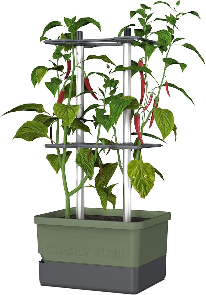BUZZY Seeds Charly Chili Self-Watering Planter with Vertical Trellis – 1.2 Gal Reservoir, Large Capacity Planter for Chili Peppers, Bell Peppers & Eggplants (Green)