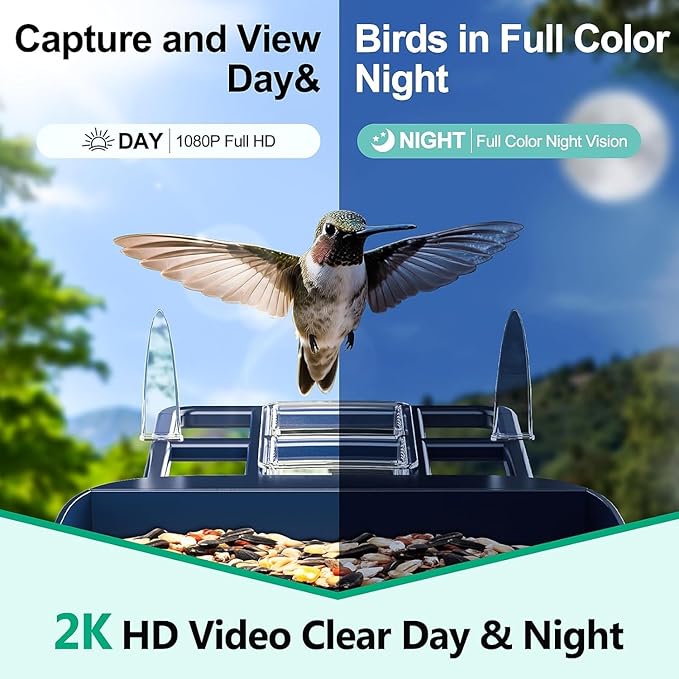 Smart AI Bird Feeder for Families - Attract Vibrant Cardinals! 2K Day/Night Camera, 10,000+ Species ID, Real-Time Alerts, Solar Powered & Weatherproof - Fun Bird Watching for Kids & Adults