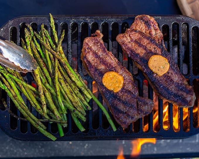 Lodge Cast Iron Sportsman's Pro Grill
