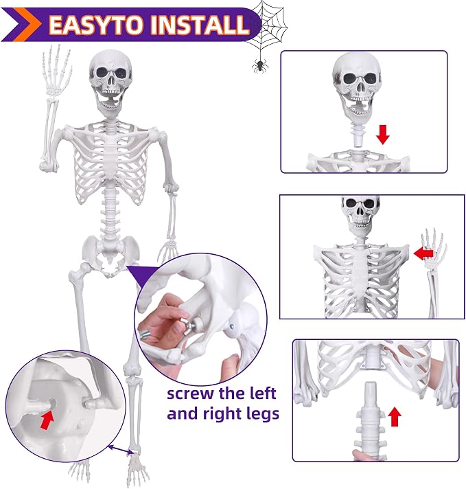 5.4Ft Halloween Skeleton - Life Size Full Body Realistic Human Bones with Posable Joints for Halloween Pose Skeleton Prop Decoration