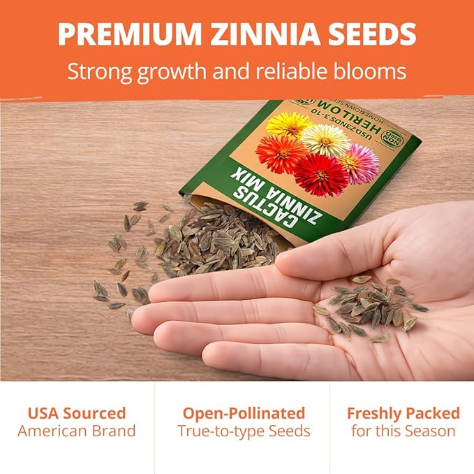 HOME GROWN Zinnia Cactus Mix Seeds - 650 Flower Seeds for Spring Planting Outdoors 2026, Large Zinnia Flower Seed, Easy Grow Garden & Cut Flowers (Zinnia elegans)