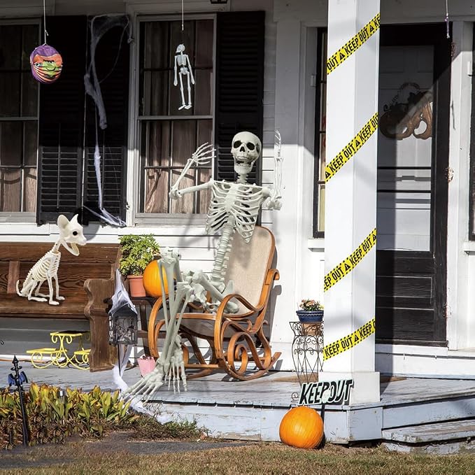 5.9Ft Halloween Life Size Skeleton with Cat for Halloween Party Decor | Plastic Skeletons with Movable Joints