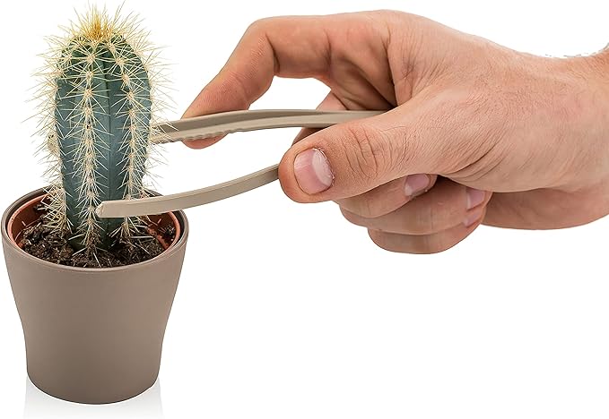 Mini Garden Hand Transplanting Set of 4 pc Succulent Cacti Cactus Tools Miniature Planting, Set for Fairy Garden, Potting, Houseplant, Bonsai Tools, Bonsai Kit, Shovel, Thong (Pink)