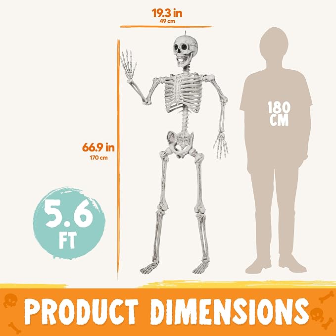 JOYIN 5.6 FT Halloween Posable Life Size Skeleton Full Body Realistic Bones with Movable Joints for Halloween Indoor and Outdoor Decoration Props Spooky Scene Party Decorations (White)