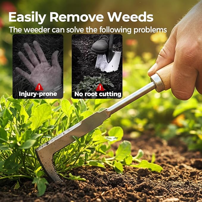 Crack Weeder, 12" Stainless Steel L-Shaped Crevice Weeder Tool with Wood Handle, Heavy Duty Sidewalk Weed Puller Spatula for Garden Patio Lawn, Gardening Hand Tool (C)