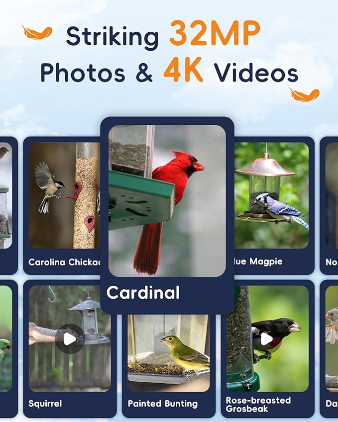 5G Bird Watching Camera, Hibird Smart AI Identify and Auto Capture 10000+ Bird Species IP66 Mini Wireless Watching Camera with Solar Panel, Ideal Gift for Birds Lover