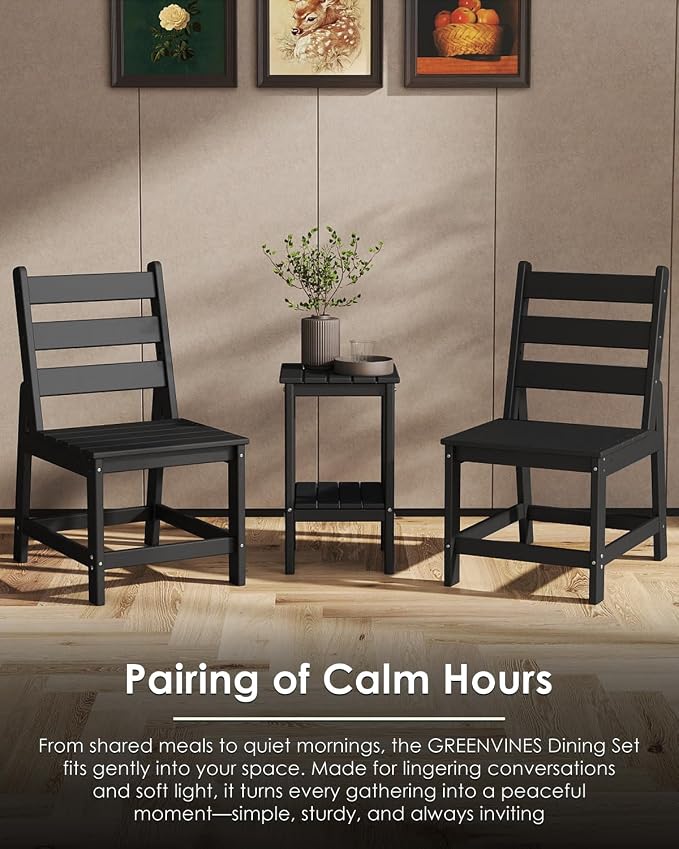 GREENVINES Patio-Chair | Outdoor Dining Chairs Set of 2 | HDPE Plastic | Armless |All Weather | for Backyard Deck Poolside Garden | Black