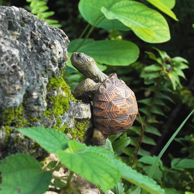 Turtle Statue Tortoise Figurine Tortugas Hanger Plant Pot Hugger | Resin Cute Turtle Ornament Desk Decor Plant Decoration Gift for Flower Pot Bonsai Planter Succulent Vase