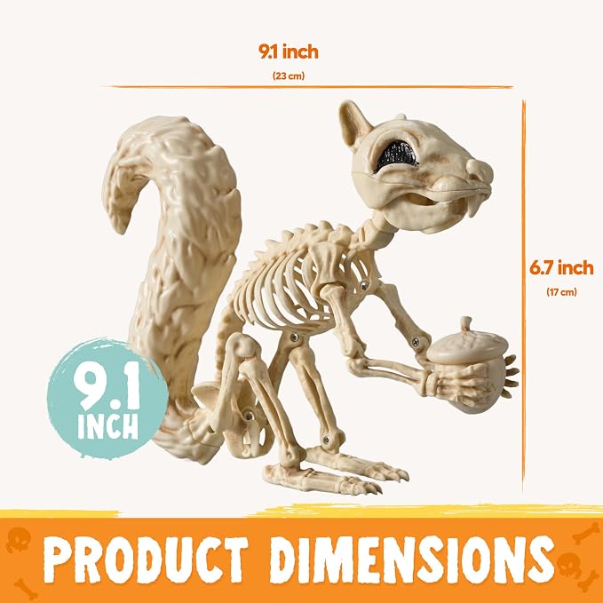 JOYIN Squirrel Skeleton Halloween Decoration 9.1 Inch Animal Posable Skeletons Movable Joints Plastic Bones with Pine Cones for Halloween Haunted House Decor Spooky Scene Garden Patio Party Prop