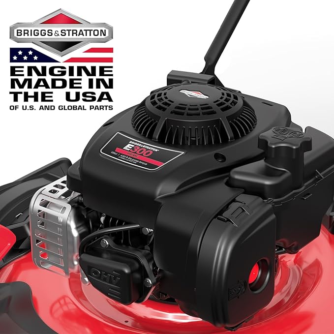 PowerSmart 21 in. Gas Lawn Mower with 125cc Briggs and Stratton E300 Engine, 2-in-1 Push Mower with Mulching & Side-Discharge, 6-Point Height of Cut