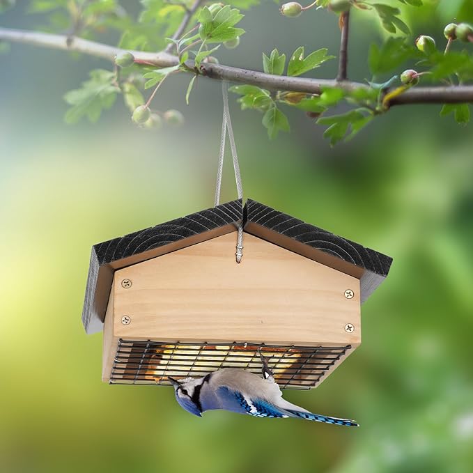 Gbekery Upside-Down Suet Feeder Squirrel Proof with Durable Cedar Wood,Winter Bird Feeders for Outdoors Hanging, Attracts Woodpeckers, Nuthatches, and Chickadees, Easy to Refill