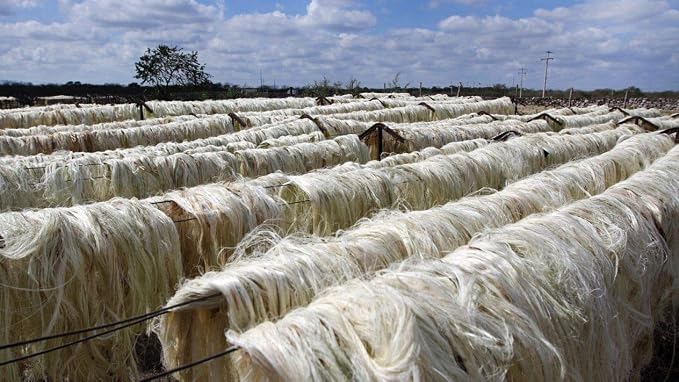 Traditional Mayan Hammock - Hammock Made with Thick Cotton Thread (Natural, Small)