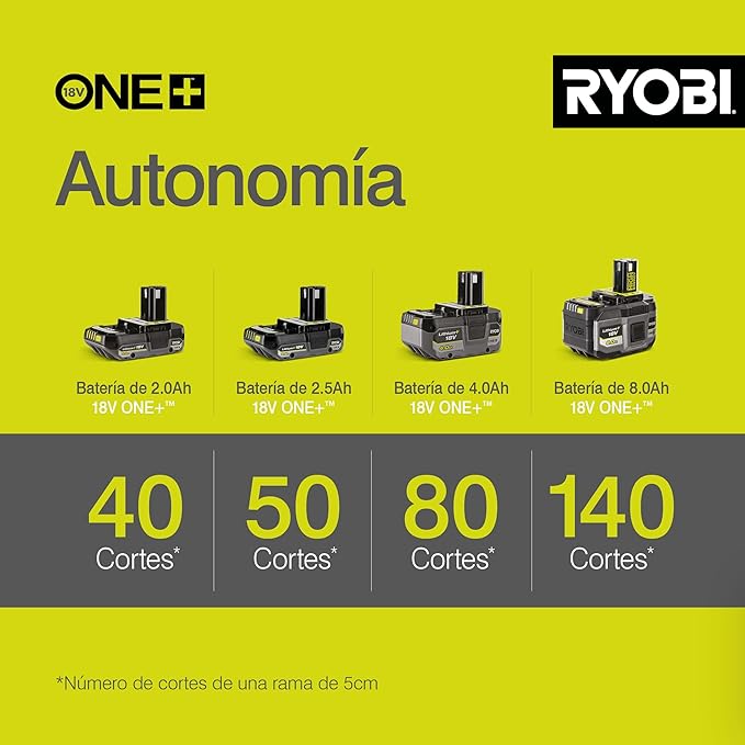 Ryobi One+ Pole Pruner-zero Tool,