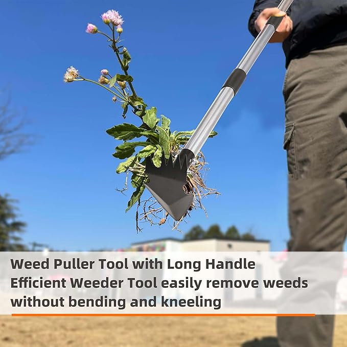 Weed Puller Tool with Long Handle, 62inch Efficient Weed Remover Tool, 2-in-1 Weed Rake and Hoe Garden Tool for Easy Weed Removal & Deeper Root Digging, Manual Weeder Tool for Yard Flower Bed