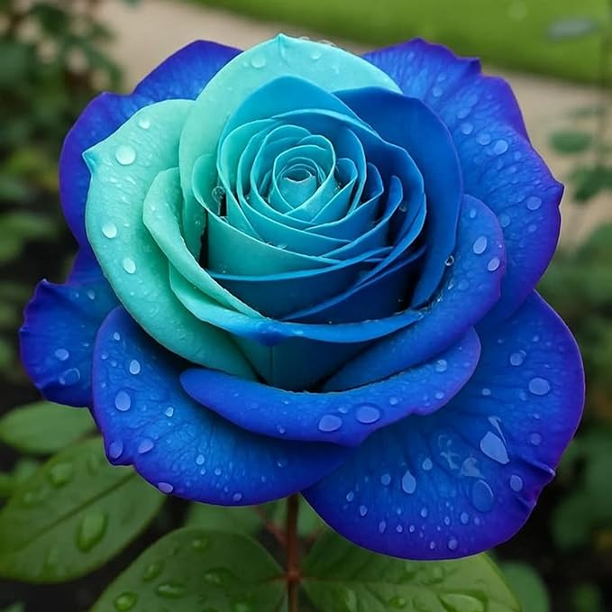 120+ Exotic Rose Seeds for Planting Hybrid Rare Rose Seeds Perennial Shrub Garden Yard Potted Decoration