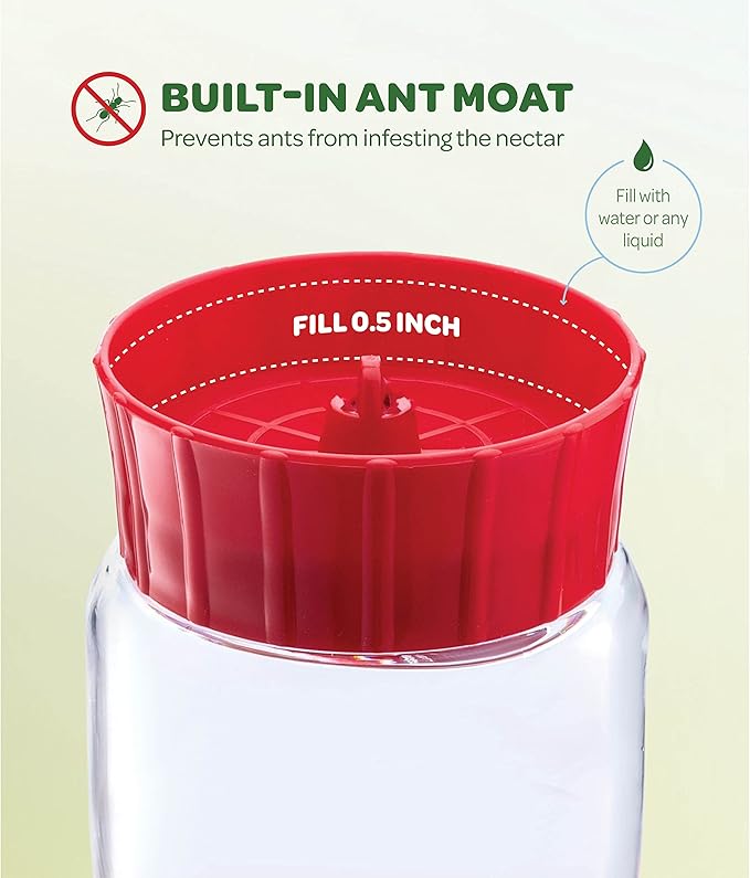 Hummingbird Feeder 30 oz [Set of 2] Glass Hummingbird Feeders for Outdoors - with Built-in Ant Guard - Circular Perch with 7 Feeding Ports - Wide Mouth for Easy Filling/2 Part Base for Easy Cleaning