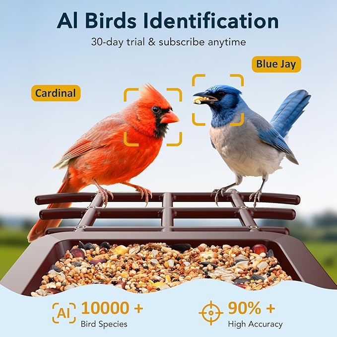 PeckCam® Bird Feeder with Camera Solar Powered, AI Identify & Auto Capture, 2K HD Live Video Smart Bird Feeder Camera Instant Notifications in Backyard, Gift Bird Lovers