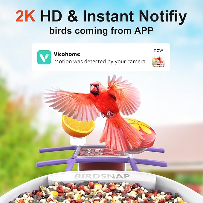 birdsnap® PAV-Bird Feeder with Camera,2K HD with 64GB Card, AI Identify Smart Bird House Cam Solar Panel,Live Stream,Motion Detection,Auto Record Video for Backyard Outdoors,Ideal Gift for Bird Lover