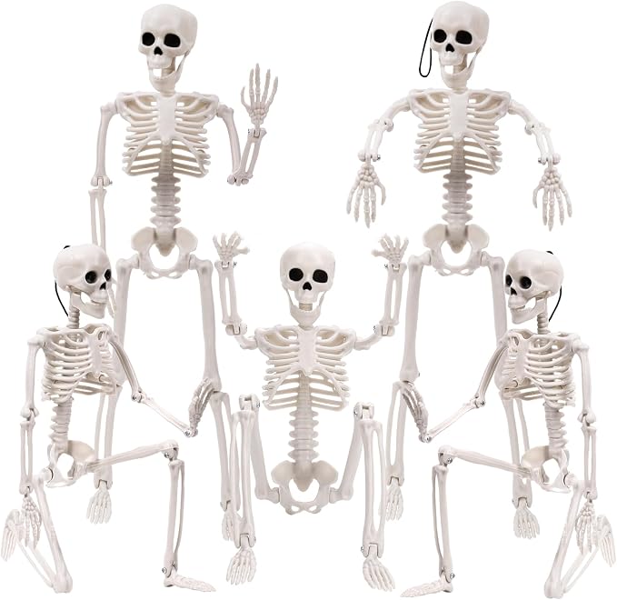 XIMISHOP 5pcs Halloween Skeleton Decoration, 16" Full Body Posable Hanging Skeleton with Movable Joints for Graveyard Haunted House Indoor Outdoor, White