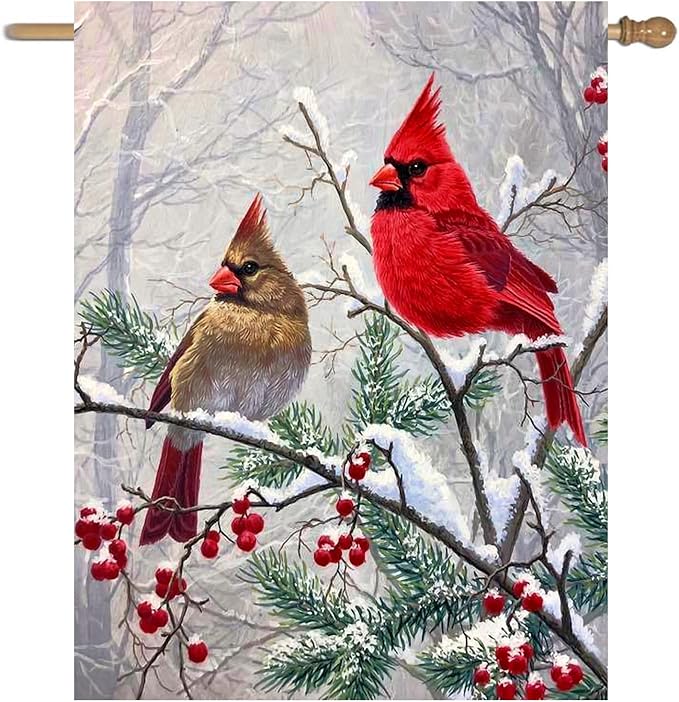 Winter Cardinal Bird House Flags for Outside 28x40 Double Sided Large Christmas Holiday Flags Red Birds on Tree Branch Garden Flag Welcome New Year Yard Flag Farmhouse Outdoor Decor