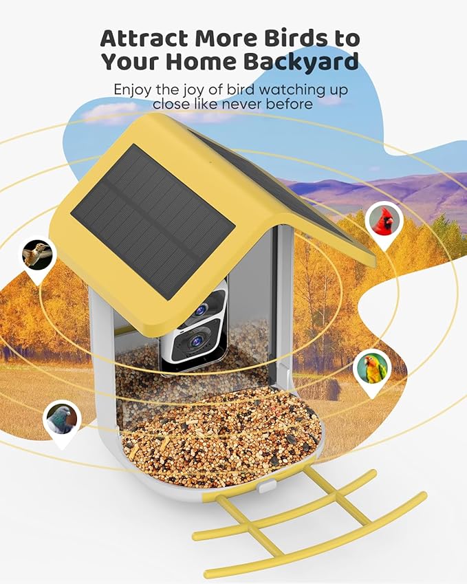 Bird Feeder with Camera Solar Powered : Smart Camera Bird Feeder 2K Live Feed Cam for Outdoor Backyard - Ai Identify Auto Capture Videos Pictures, Gifts for Birdlover Mom Dad, 2.4GHz WiFi