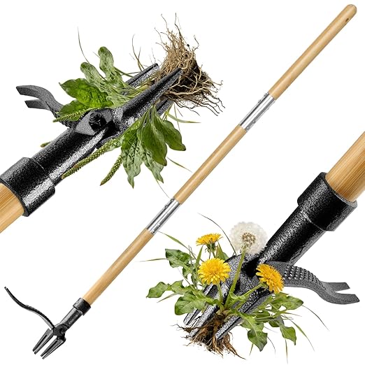 Stand Up Weed Puller Tool Heavy Duty Weed Remover with Long Handle,4-Claw Steel Head,Foot Platform Weeder 45" Bamboo Garden Hand Weeding Tool for Lawn Yard Easily Remove Dandelion Weeds Root Pulling