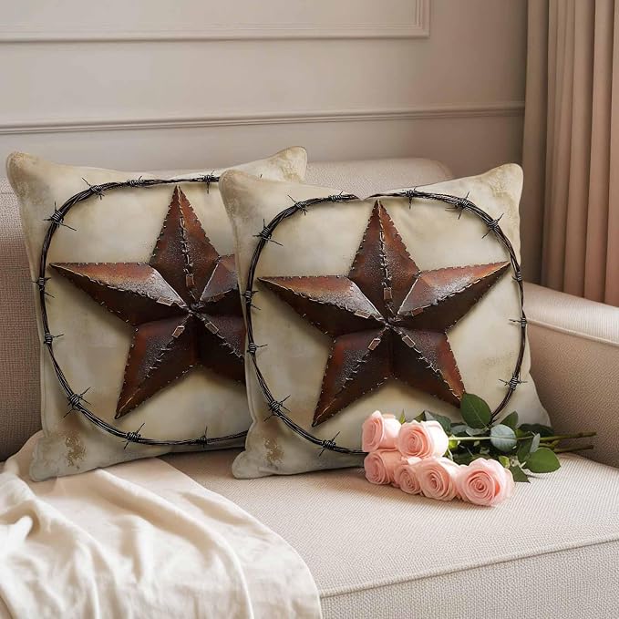 Country Star Retro Waterproof Outdoor Pillow Covers Set of 2 Home Decor, Farmhouse Western Aesthetic Art Pillowcase Patio Pillow Covers for Couch Bench Furniture Garden 26x26in