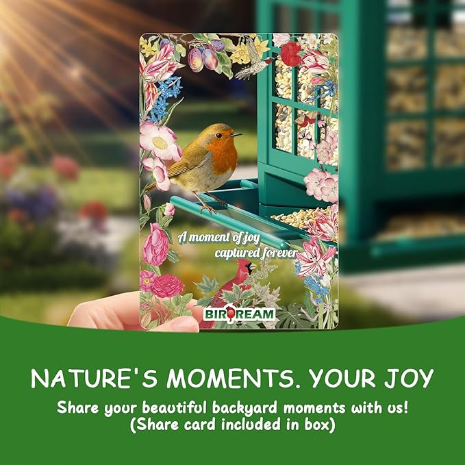 Birdream 2 Pack Bird Feeders for Outdoor Hanging, Assembly Required, 1-Min Easy Setup, Classic Courtyard Design, Attracting Cardinals Chickadees Goldfinches & Sparrows - Green