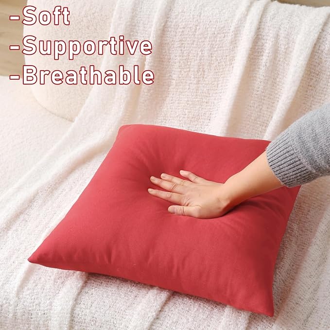 20 x 20 Inch Throw Pillow for Outdoor Seating, Waterproof Lumbar Pillows with Insert, Square Decorative Garden Cushion for Couch Patio Sofa Home Furniture (Red, 20" x 20" (Pack of 2))
