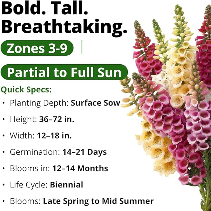 HOME GROWN Foxglove Seeds Mix 8000 (0.8g) Excelsior 2026 Spring for Planting Flower Seeds – Mixed Colors Wildflowers Bulk, Perennial Flower Seeds Packets, Cottage Garden (Digitalis purpurea)