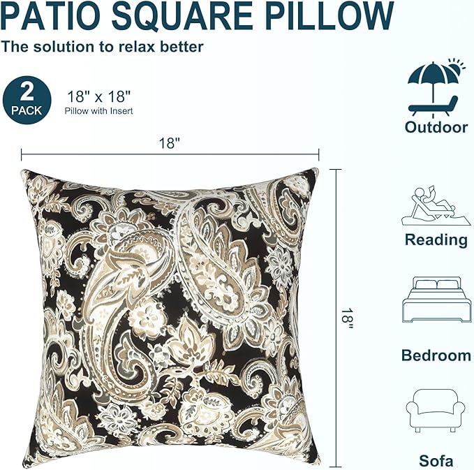 DYTXIII Pack of 2 Waterproof Outdoor Pillow with Inserts, 18x18 Square Patio Decorative Throw Pillow for Home,Sofa,Bench and Patio Furniture,Paisley Black
