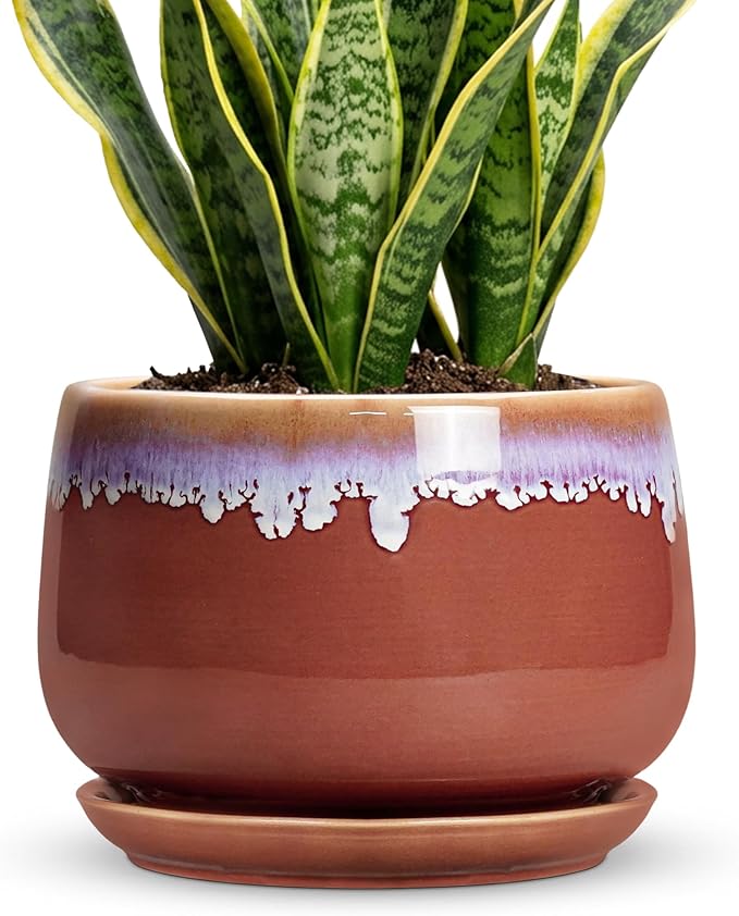 9 Inch Ceramic Planter - Indoor Planters with Drainage and Saucer, Decorative Flower Pot for Indoor Plants, Round Large Plant Pots, Office Patio House Decor, House Warming Gifts, Red-Purple