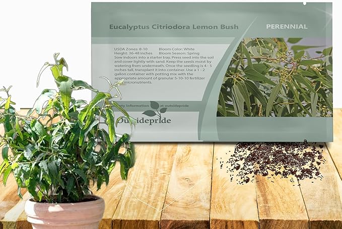 Outsidepride Lemon Bush Eucalyptus Seeds - 25 Pcs. Perennial, Easy to Grow & Drought Tolerant, Flower Seeds for Planting Fragrant, Vibrant Blooms for Landscaping & Pollinator Gardens