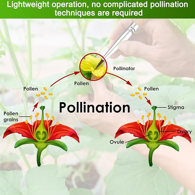 M METERXITY 20-Pack Pollinator Brush, 0.24inch/0.6cm Wooden Vegetable Pollinator Pen Manual Pollination Tool for Gardening/Greenhouse/Hydroponic Plants/Flowers [Beige]