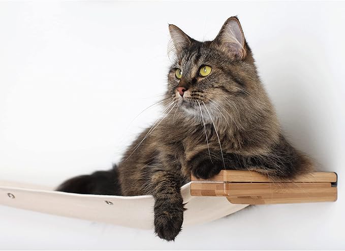 CatastrophiCreations The Lounge Cat Hammock - 34-Inch Natural Bamboo/Natural Canvas