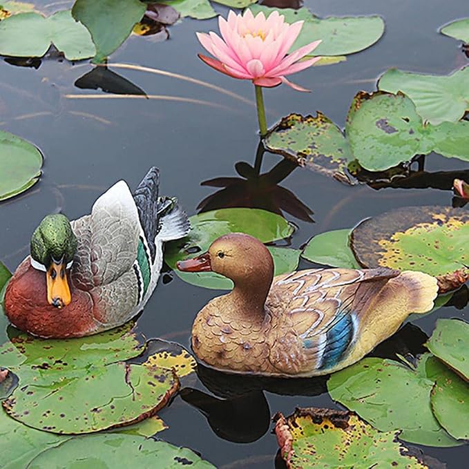 Floating Mallard Ducks for Pond Décor - Realistic Waterproof Resin Duck Statues Outdoor, Garden & Patio Ornaments with Fake Mandarin Ducks, Perfect as Cake Toppers/Pool Backyard Lawn Decoration