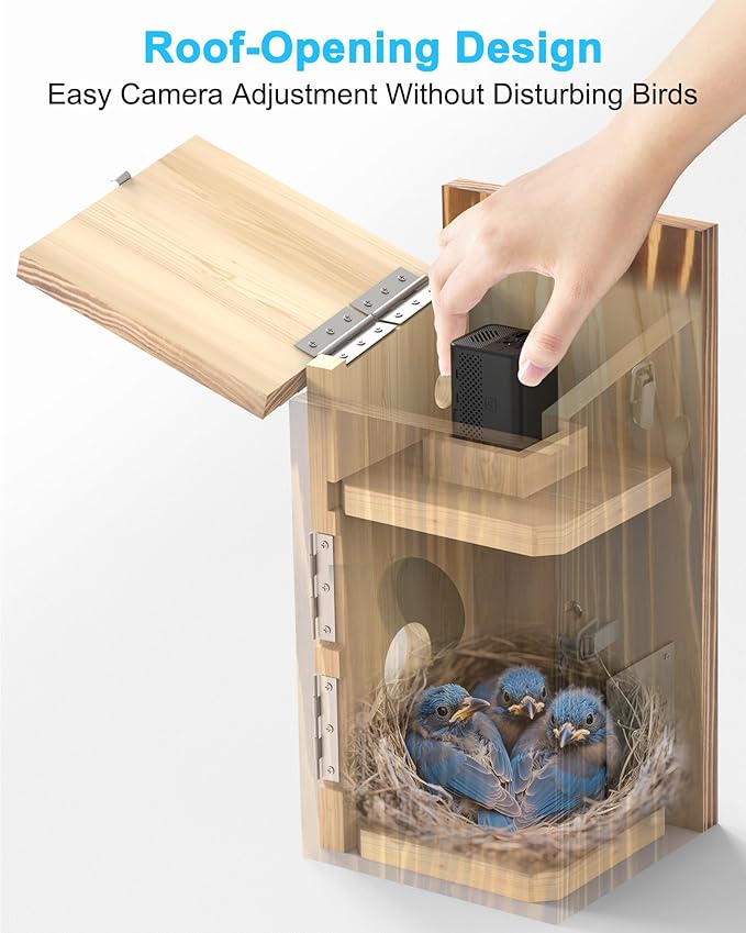 KinetCam Bird House with Camera Solar Powered,2K HD Wi-Fi Bird Watching, Auto Detect&Notify, Night Vision, APP Control, Birdhouse for Birds Nesting, Wooden Birdhouse with Cam Inside (Include Pole)