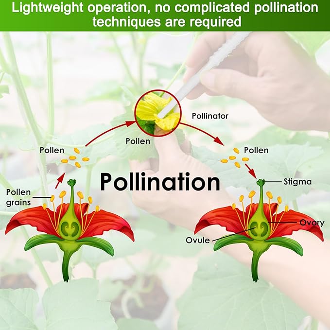 M METERXITY 20-Pack Pollinator Brush, 0.08inch/2mm Plastic Vegetable Pollinator Pen Manual Pollination Tool for Gardening/Greenhouse/Hydroponic Plants/Flower [White]