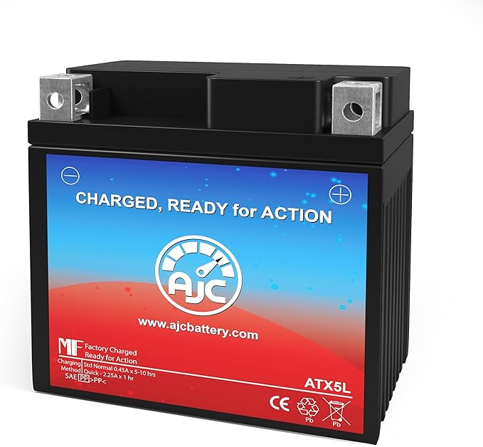 AJC Battery Compatible with Snapper SPV21675E Walk-Behind Lawn Mower and Tractor Battery